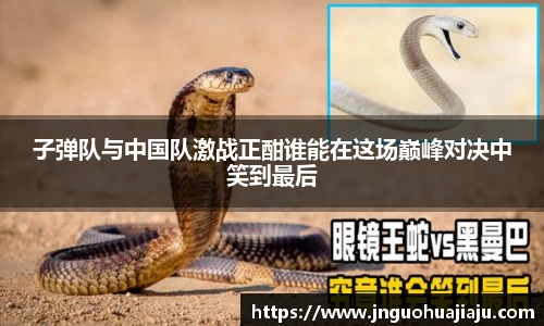 子弹队与中国队激战正酣谁能在这场巅峰对决中笑到最后